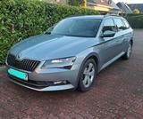 Skoda Superb 1.6TDI viel investiert Sommer... - Skoda Superb: 1.6
