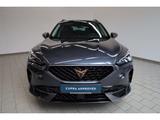 Cupra Formentor 1.5 TSI - Cupra Formentor in Duisburg