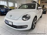 Volkswagen Beetle Cabriolet 1.4 "Allstar Plus" 6-Gang KAM - mit Benzin-Antrieb: 1.6