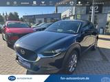 Mazda CX-30 2.5L 140ps 6AT FWD Exclusive-line - Mazda CX-30 mit Hybrid-Antrieb: Exclusive Line