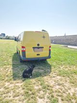 Volkswagen T5 - Wohnwagen & Wohnmobil in Wiesbaden