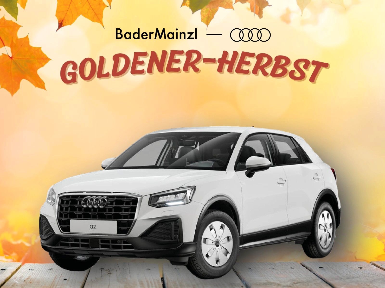 Audi Q2 "Herbst-Sales" AKTION bei BaderMainzl !