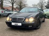 Mercedes-Benz CLK 230 KOMPRESSOR AVANTGARDE - Mercedes-Benz CLK 230 aus 2000
