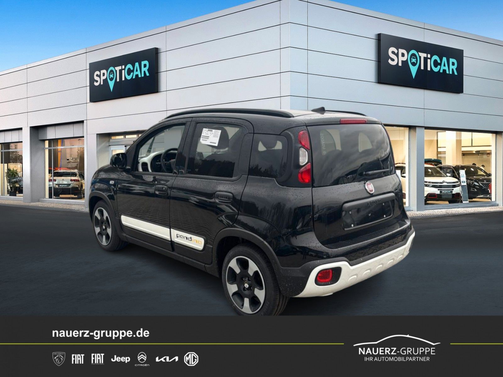 Fahrzeugabbildung Fiat Panda Pandina Cross
