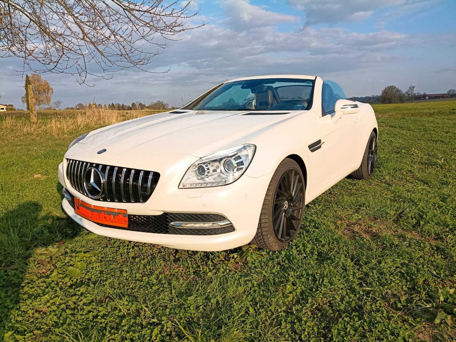 Mercedes-Benz SLK 250 7G tronic,18",Motor neu 65TKM,Pano neu!!