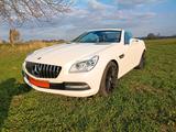 Mercedes-Benz SLK 250 7G tronic,18",Motor neu 65TKM,Pano neu!! - Mercedes-Benz: Sl 65