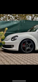 Volkswagen New Beetle - Volkswagen New Beetle mit Benzin-Antrieb: Limousine
