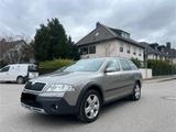 Skoda Octavia Scout 2.0 TDI DPF 4x4 Allrad Alcantara - Skoda Octavia aus 2009: Scout
