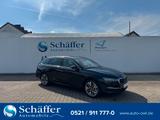 Skoda Octavia Combi 130 JAHRE PREM  5J-GARA RFK ACC... - Skoda Octavia Neuwagen in Bielefeld