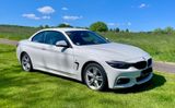 BMW 430i xDrive Cabrio M Sport A M Sport, AHK  - BMW 430 aus 2019