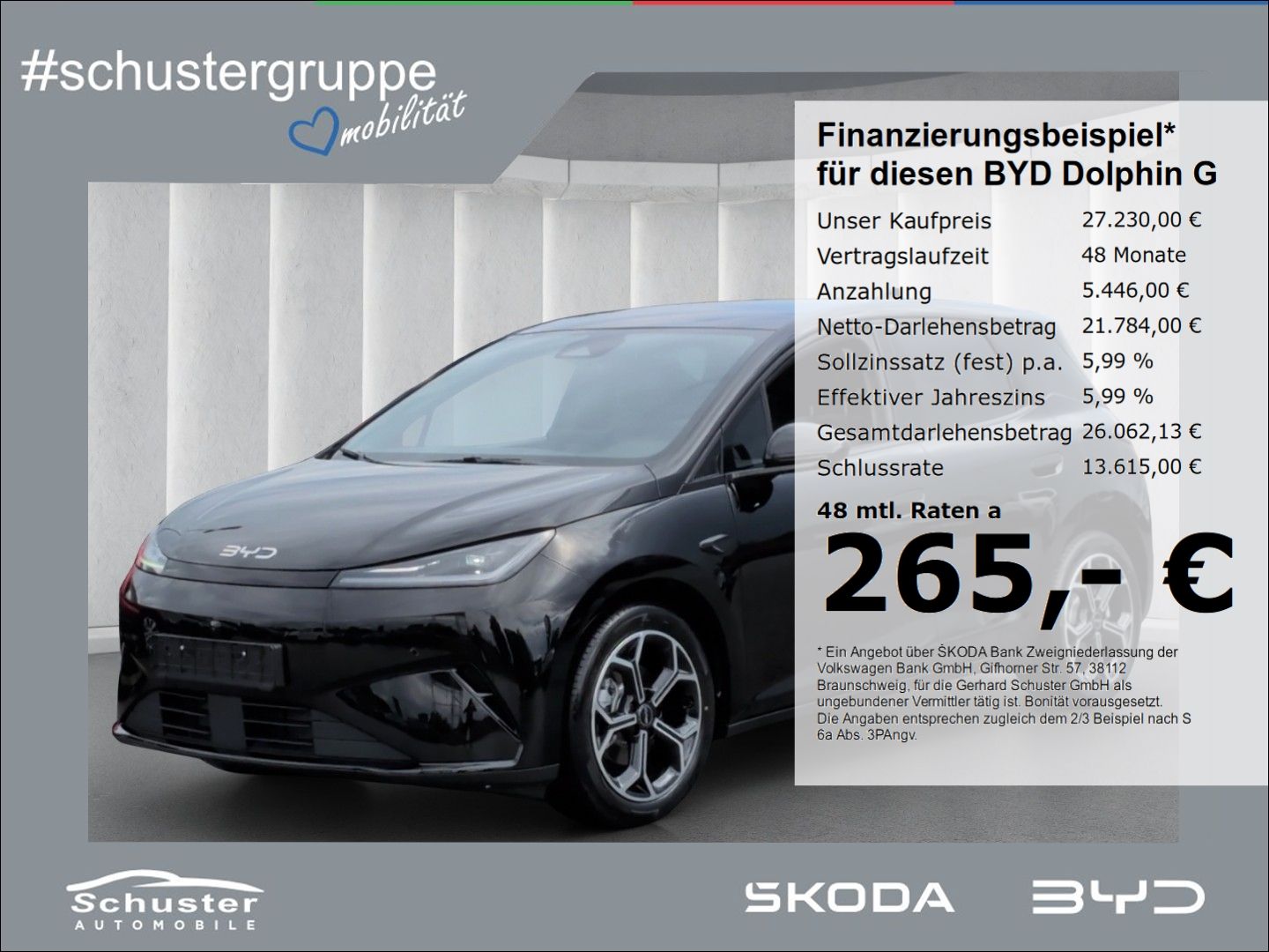 BYD DOLPHIN