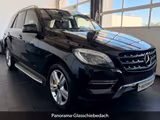 Mercedes-Benz ML 350 CDI BlueTec 4Matic*PANO*KAMERA*OFFROAD* - Mercedes-Benz ML 350: Bluetec