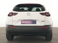 Mazda MX-30 - Vorschau Bild 7