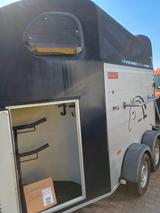 Cheval Liberte Gold II Aluline