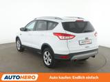 Ford Kuga 1.5 EcoBoost Sync Edition - Ford Kuga Gebrauchtwagen in Erfurt