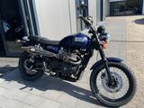 Triumph Scrambler 900 *Top Zustand*1 Jahr Gewährleistung - TRIUMPH SCRAMBLER
