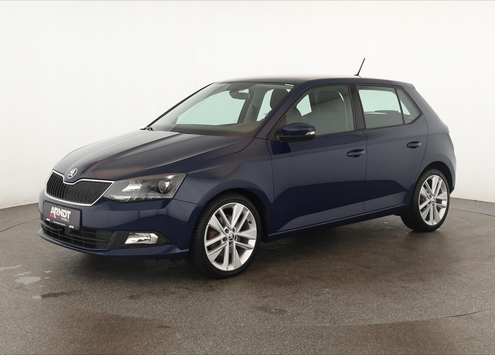 Skoda Fabia 1.0 TSI DSG Style Klima DAB SHZ ACC PDC 17