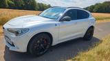 Alfa Romeo Stelvio 2.9 V6 Bi-T. 375kW Quadrifoglio AT8-... - Alfa Romeo: Quadrifoglio