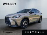 Lexus NX 350h E-FOUR Overtrail *Pano*HUD*Mark Levinson - Lexus aus 2024: Nx