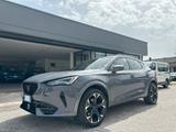 Cupra Formentor 2.0 TDI 4Drive DSG - Cupra Formentor Kombi Gebrauchtwagen