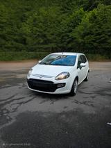 Fiat Punto Evo 199 1,2 Benzin - Fiat: 199