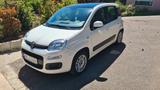 Fiat Panda 0.9 TwinAir Turbo mit Anhängerkupplung  - Fiat Panda: Panoramadach