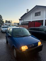 Fiat Cinquecento - Fiat Cinquecento: Kleinwagen