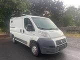 Fiat Ducato Kasten 30 115 Multijet L1H1 Klimaau. - Angebote