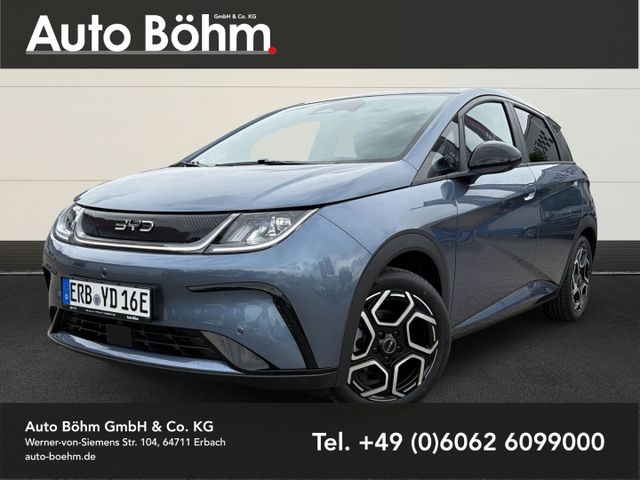 BYD Dolphin Design