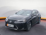 Lexus UX 300h F-Sport /4x4/SpurH/LED/KlimaA/AkustikGla - Lexus in Stuttgart