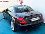 Mercedes-Benz SLK 55 AMG/1 ST LACK - : Cabrio, 55