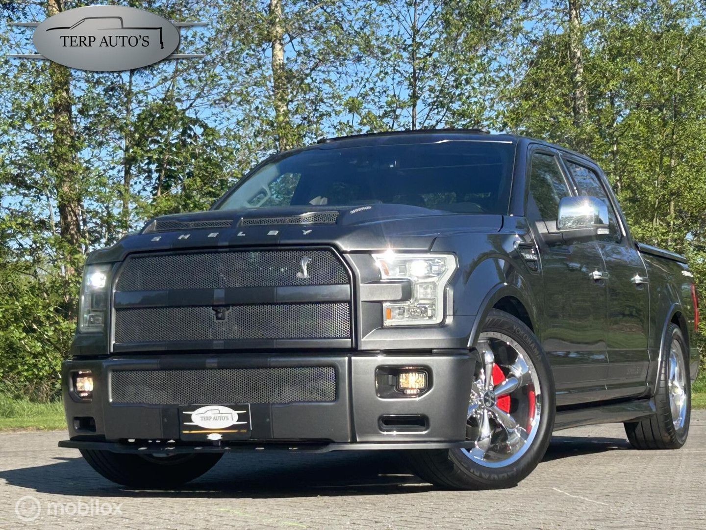 Ford F 150 USA F150 Shelby Super Snake