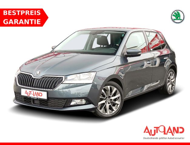 Skoda Fabia 1.0 TSI Clever OPF ACC Sitzheizung Kamera