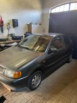 Volkswagen Polo 6N - gebrauchte VW Polo aus dem Jahr 1997