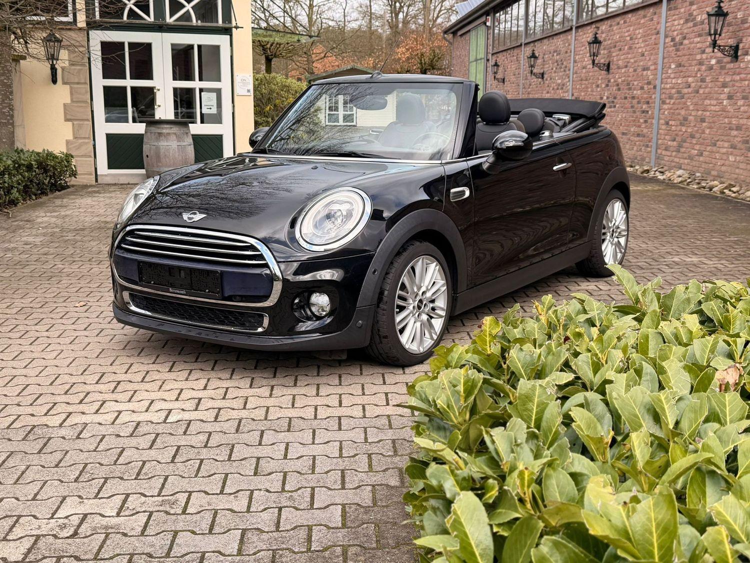 MINI Cooper Cabrio Cooper Cabrio Chili  Leder | Visua