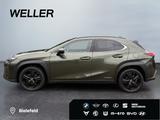 Lexus UX 250h Style+ Edition *LED*CAM*ACC*SHZ*Totwinke - Lexus: L