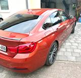 BMW 4er M Sonderedition  - BMW: 4er