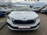 Skoda Octavia Combi 2.0 TDI Scout 4x4 - Skoda Octavia: Allradantrieb, Kombi