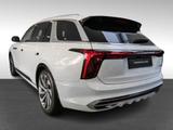 Hongqi E-HS9 EXCLUSIVE LONG RANGE 6 |NAVI|KEYL|AHK|PANO - Hongqi E-HS9 in Bonn