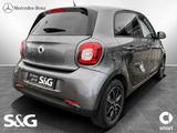 Smart ForFour EQ passion Sidebags+Sitzhzg+Tempomat+15 - gebrauchte Smart ForFour aus dem Jahr 2021