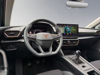 Cupra 