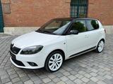 Skoda Fabia RS*DSG*Carbon*SHZ*Tempomat*8fach bereift - Skoda Fabia: RS