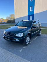 Mercedes-Benz ML 270 CDI TÜV 11.2027/Anhängerkupplung/ - gebrauchte Mercedes-Benz ML 270 aus dem Jahr 2004