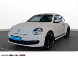 Volkswagen Beetle 1.2 TSI Klima Fenster el. - Volkswagen Beetle: Weiß