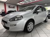 Fiat PUNTO MORE 1.2 KLIMA 8FACH BEREIFT TÜV NEU - Fiat Punto: 1.2