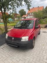 Fiat panda  14 Monate tüv mit gasanlage 2009 - : mit Gasanlage