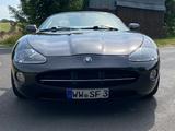Jaguar XK8 Cabriolet - 4.2 - Victory Edition  - Jaguar: Cabrio, 4.2