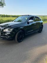 Audi SQ5 3.0 Quattro  313 ps - Audi SQ5 in Bonn