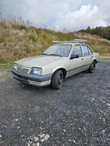 Opel Ascona-C - Opel Ascona: Privatanbieter