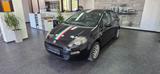 Fiat Punto 1.2 Klima   TÜV 05/2026 - Fiat Punto Gebrauchtwagen in Stuttgart